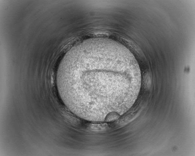 X0000099290571200805231323