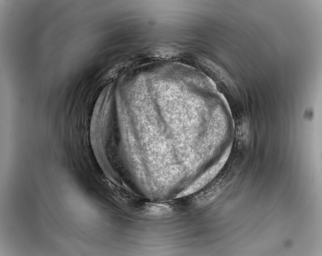 X0000099290572200805231323