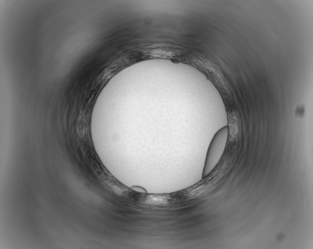 X0000099290573200805231323