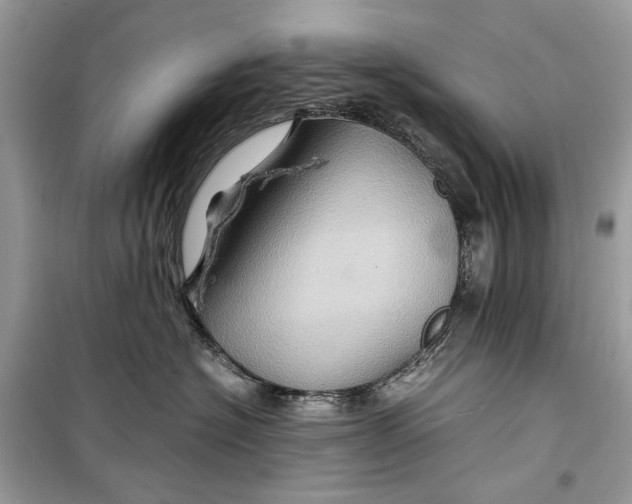 X0000099290574200805231323