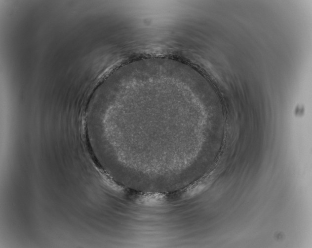 X0000099290576200805231323