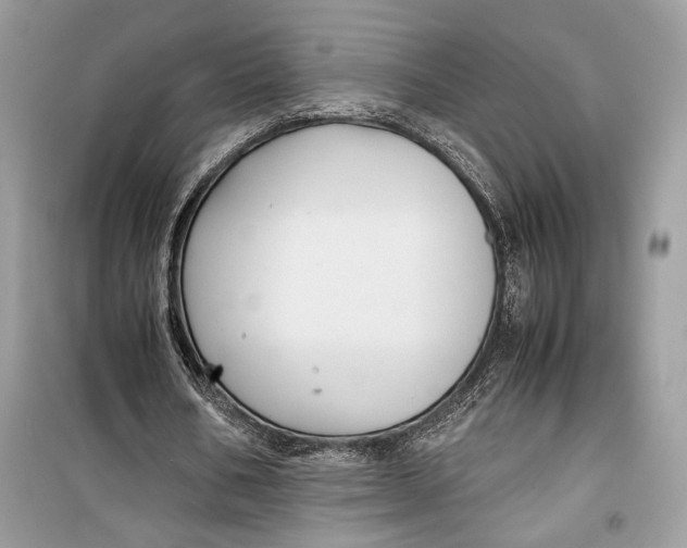 X0000099290578200805231322