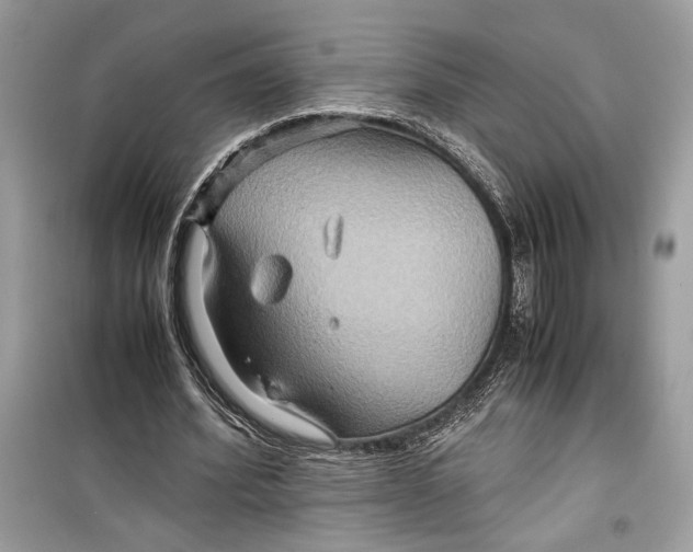 X0000099290580200805231322