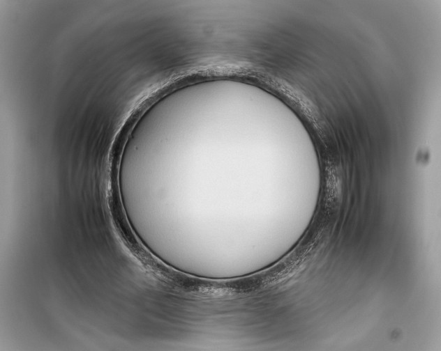 X0000099290582200805231322