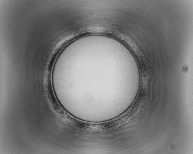 X0000099290583200805231322