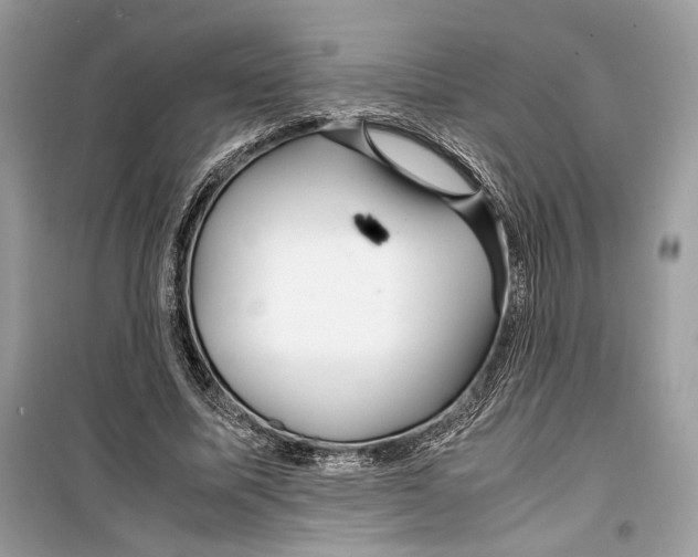 X0000099290587200805231322