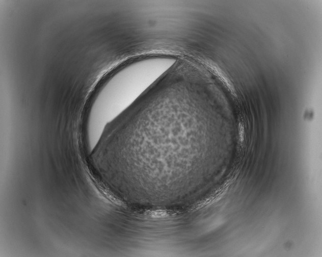 X0000099290588200805231322