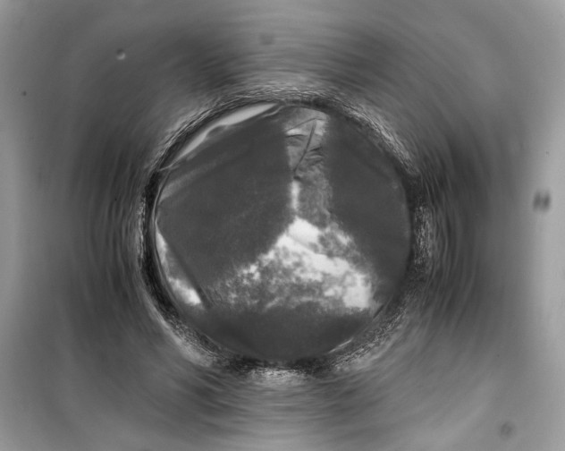 X0000099290590200805231322