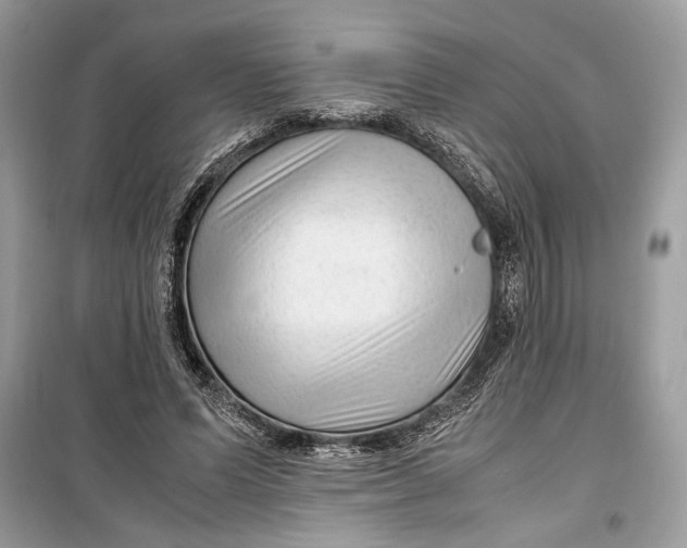 X0000099290591200805231322