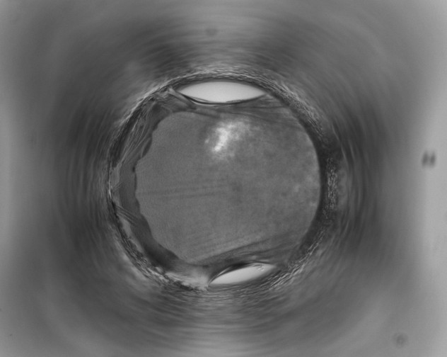 X0000099290592200805231322