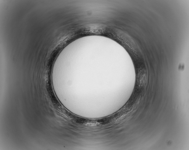 X0000099290595200805231322