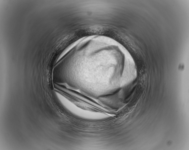 X0000099290597200805231322