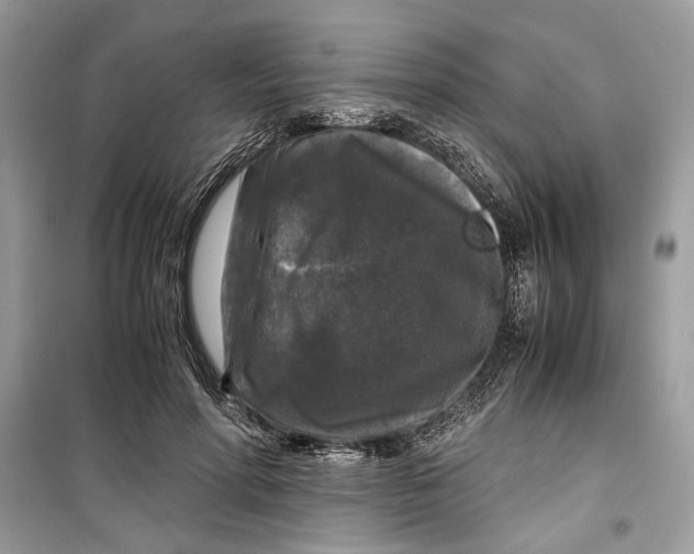 X0000099290598200805231322