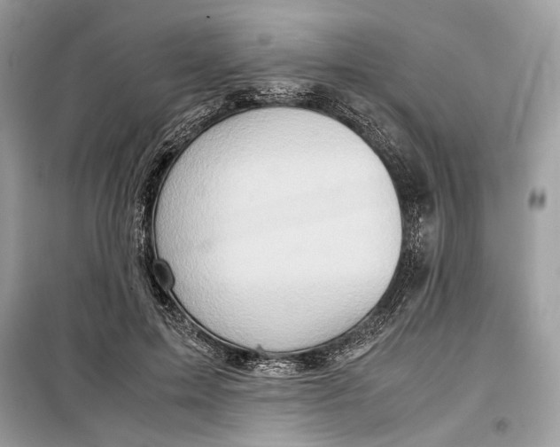 X0000099290599200805231322