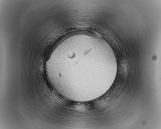 X0000099290604200805231322