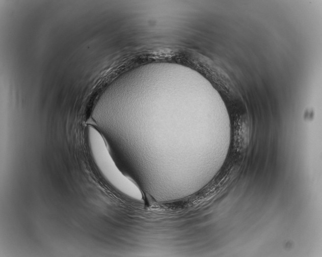 X0000099290608200805231322