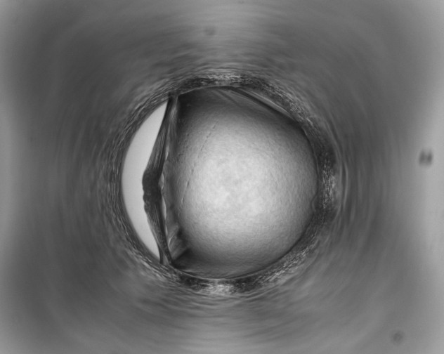 X0000099290609200805231322