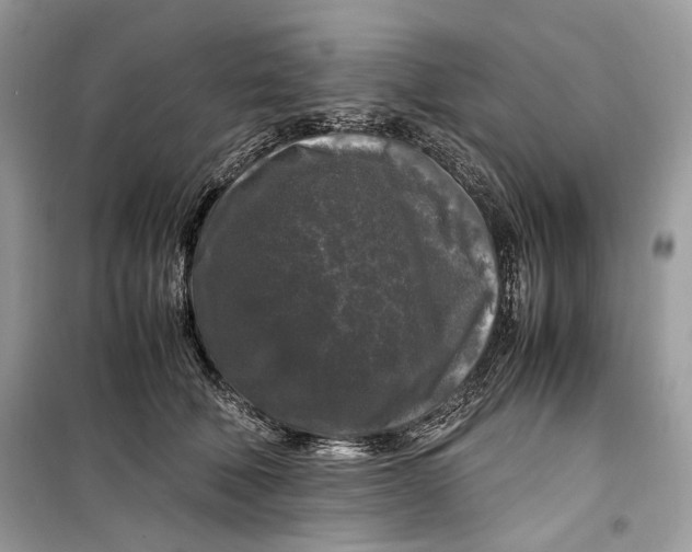 X0000099290610200805231322