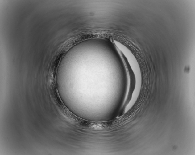 X0000099290611200805231322