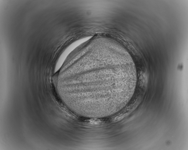 X0000099290612200805231322