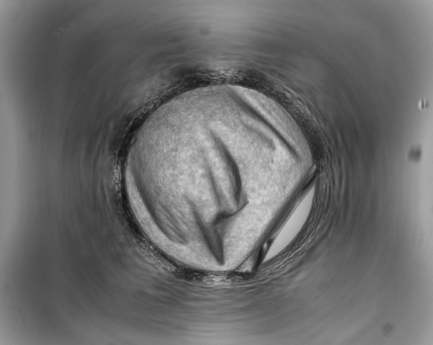 X0000099290613200805231322