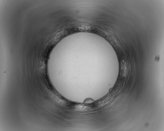 X0000099290614200805231322