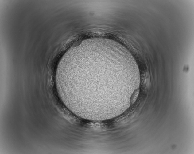 X0000099290615200805231322