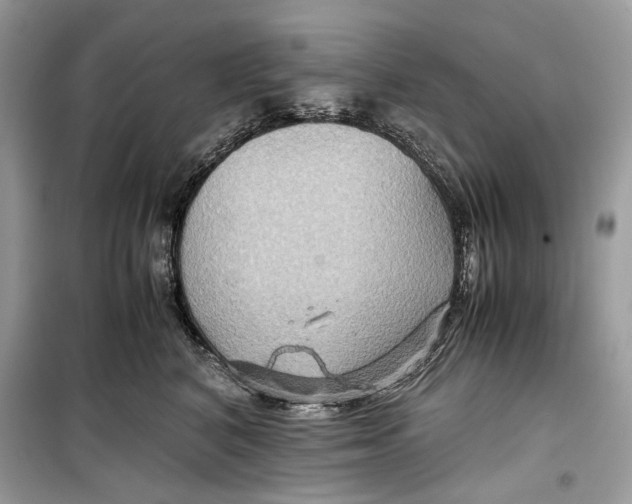 X0000099290616200805231322