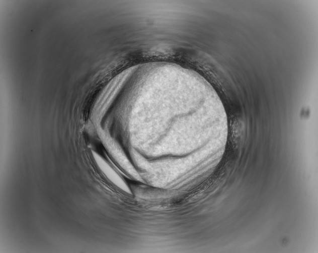 X0000099290617200805231322