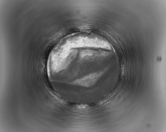 X0000099290618200805231322