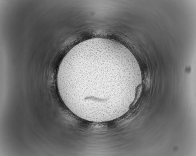 X0000099290619200805231322