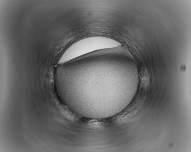 X0000099290620200805231322