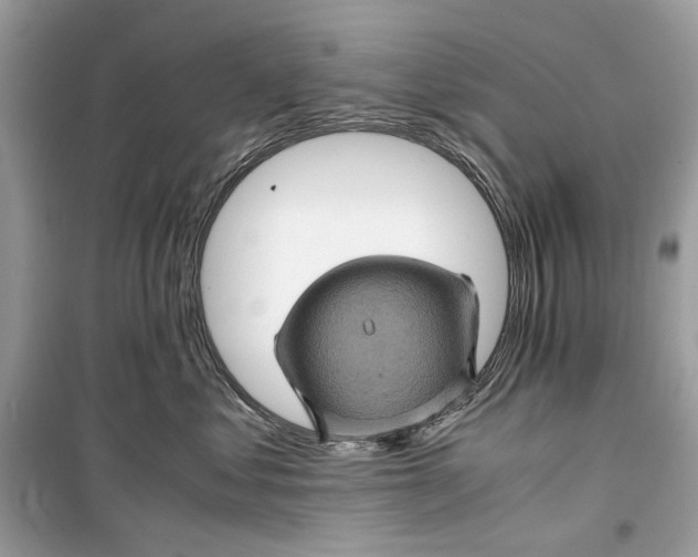 X0000099290621200805231322