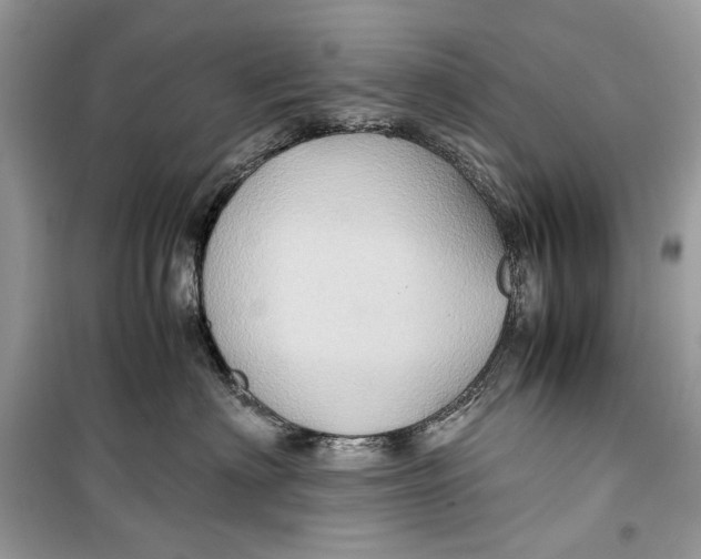 X0000099290622200805231322