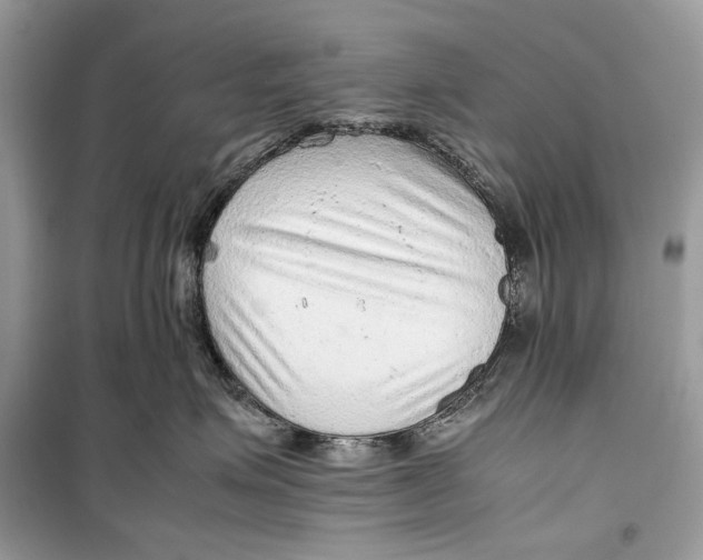 X0000099290623200805231322