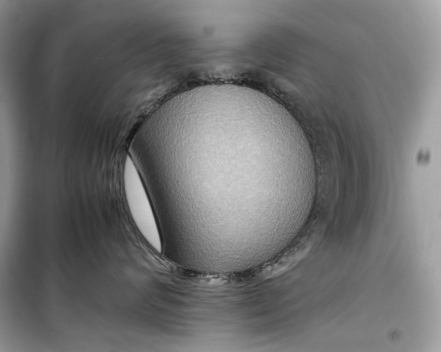 X0000099290624200805231322