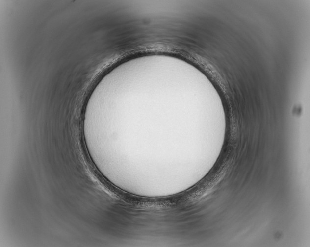 X0000099290625200805231321