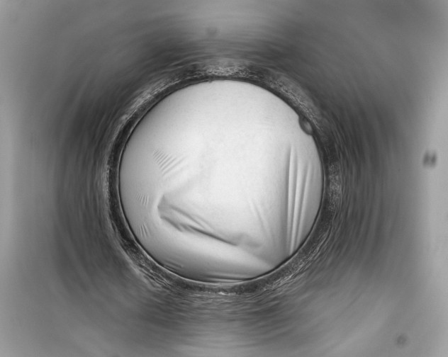 X0000099290626200805231321