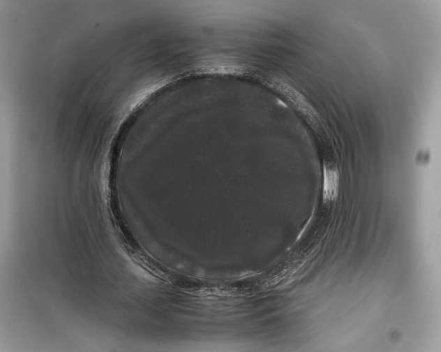 X0000099290627200805231321