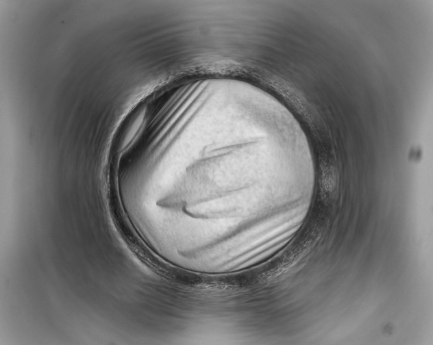 X0000099290630200805231321