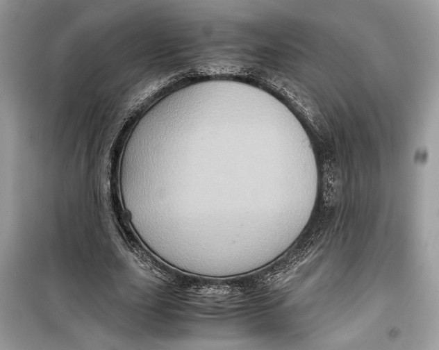 X0000099290631200805231321