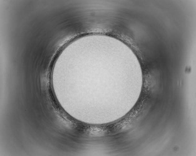 X0000099290632200805231321