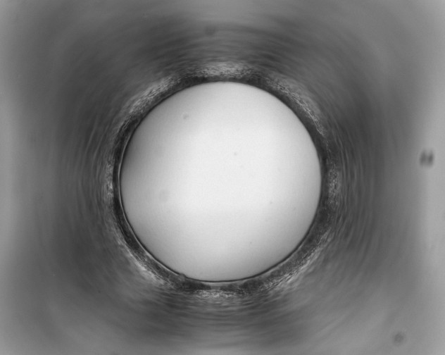 X0000099290633200805231321