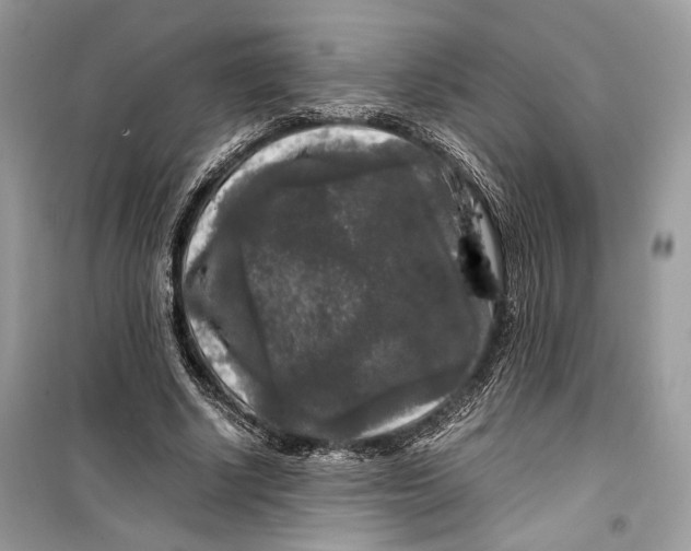 X0000099290634200805231321