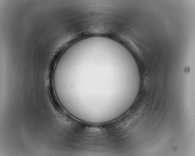 X0000099290635200805231321