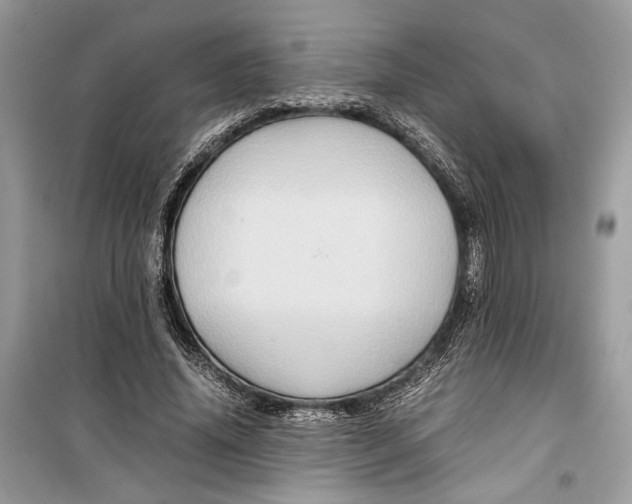 X0000099290636200805231321