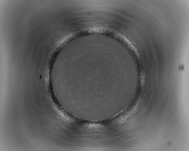 X0000099290637200805231321