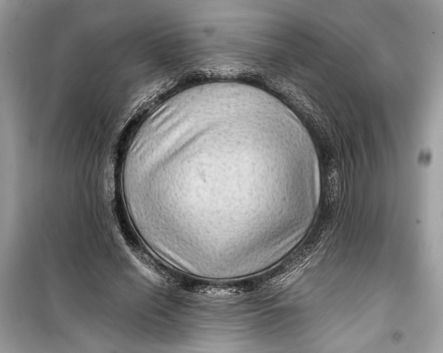 X0000099290638200805231321