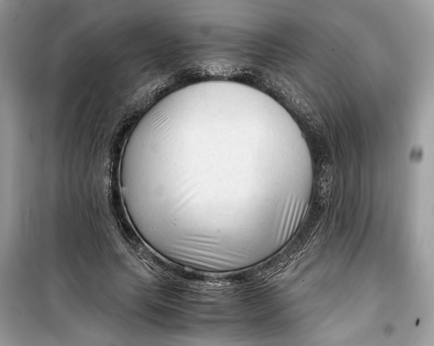 X0000099290639200805231321