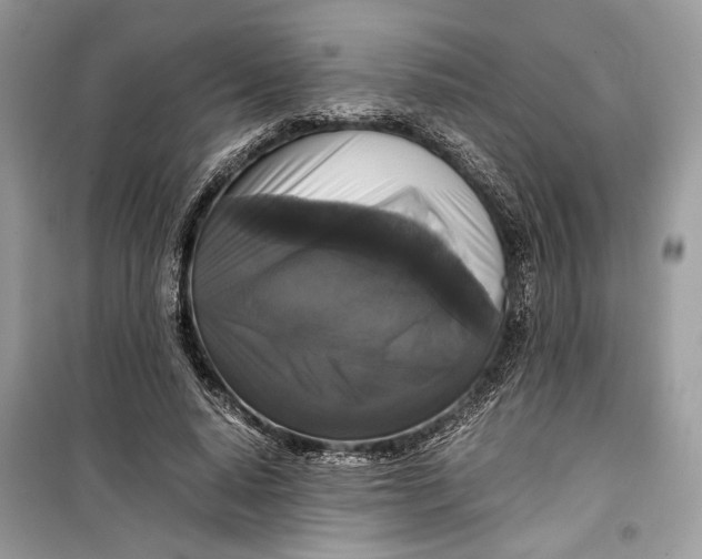 X0000099290640200805231321